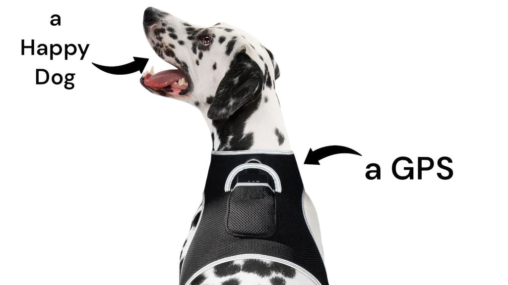 Mini Pet Tracker Collar Mount for Lost Pet Dog & Cat w/ SMS Reporting Size:XS