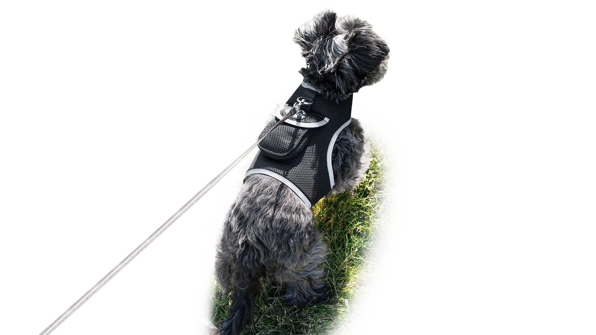 Mini Waterproof GPS GSM GPRS Realtme Collar Pet Tracker w/ Power Alert Size:XS