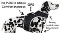 Never lose sight of your pet with the Pet Tracker XL GPS Harness