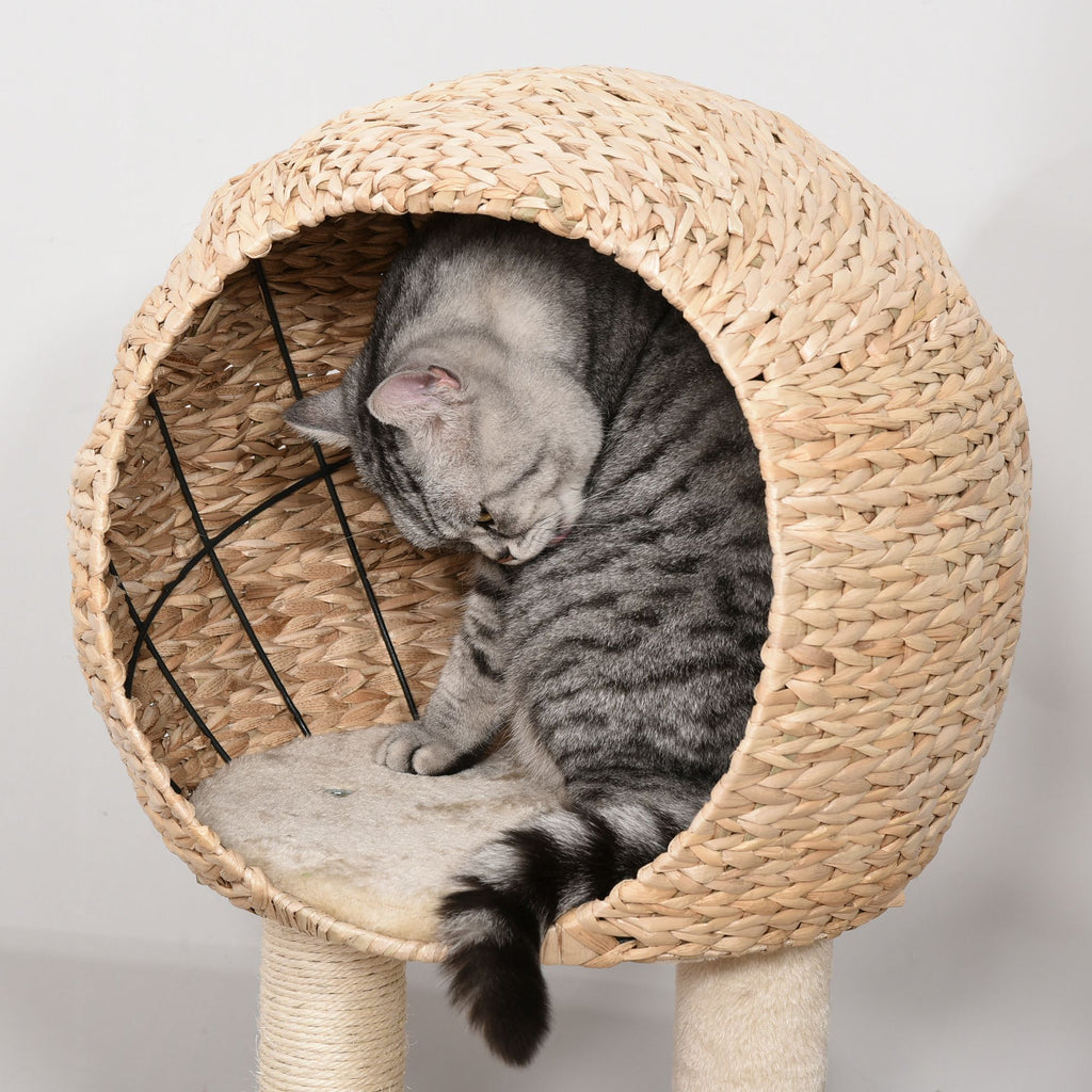 Multifunctional Cat Activity Center with Sisal Posts and Cozy Condo