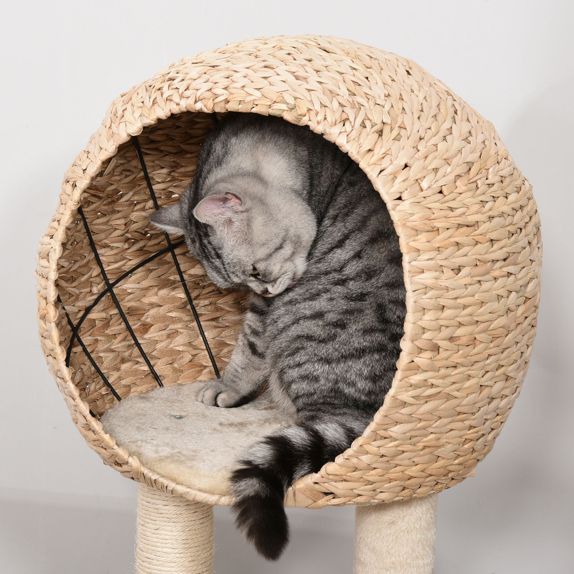 Multifunctional Cat Activity Center with Sisal Posts and Cozy Condo