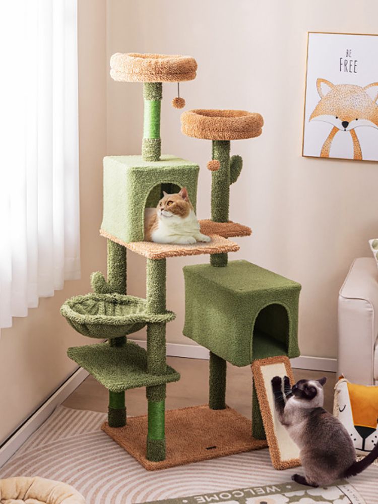 Multi-level Cactus Cat Tree with Scratching Posts Ladder Double Condos and Toys Bed