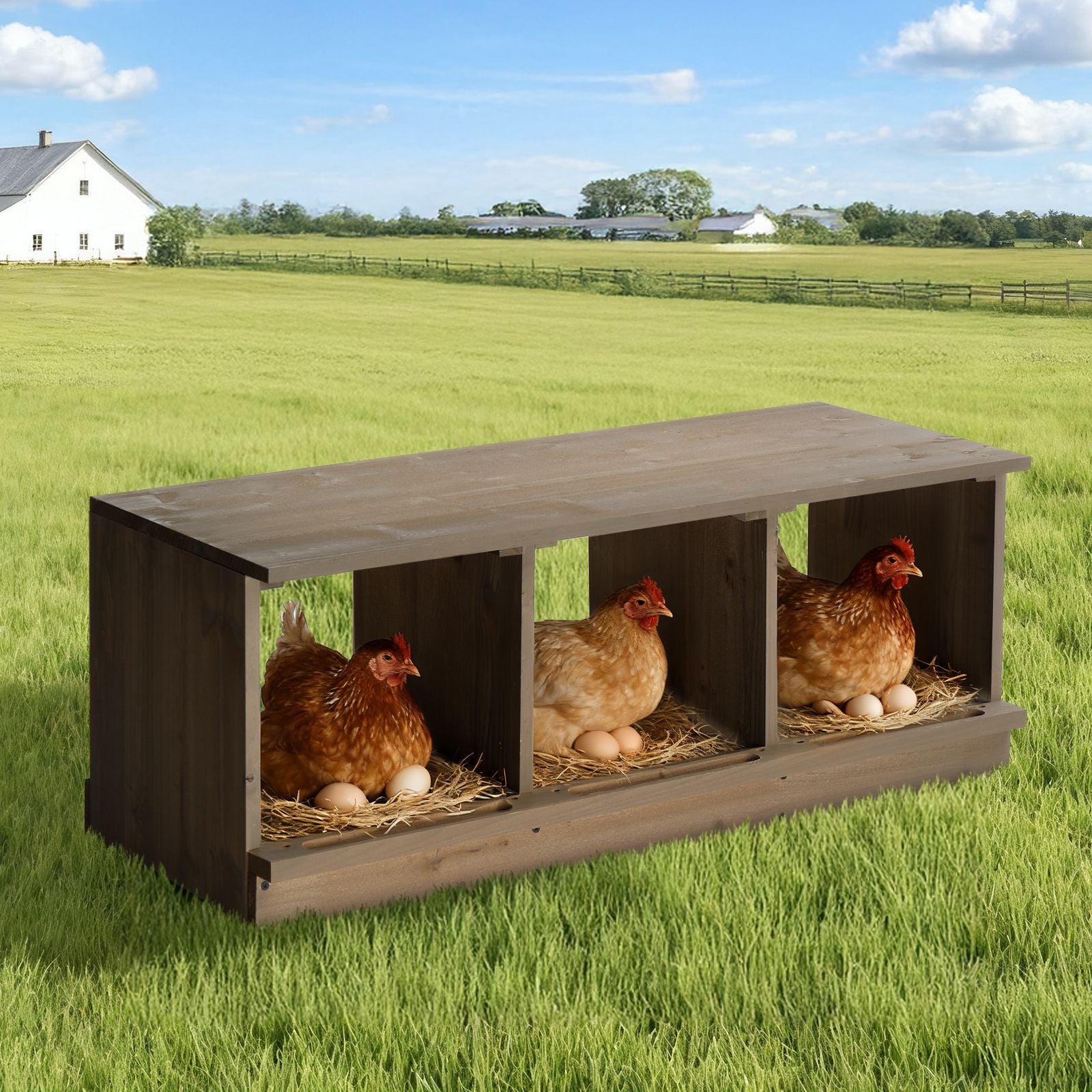 Nesting Boxes for Chickens, Wooden Chicken Nesting Box, Laying Eggs Nest Box for Chickens Hens Ducks, Gray, 3 Compartments