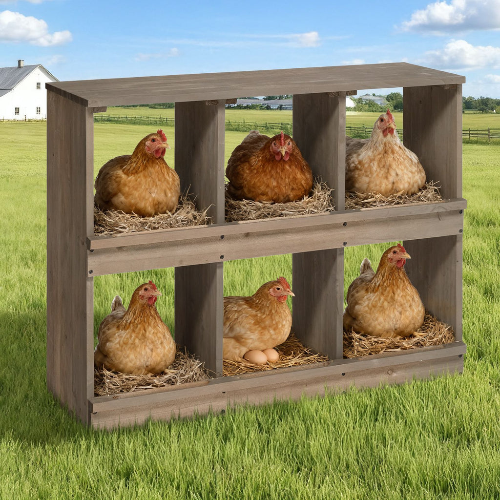 Nesting Boxes for Chickens, Wooden Chicken Nesting Box, Laying Eggs Nest Box for Chickens Hens Ducks, Gray, 6 Compartments