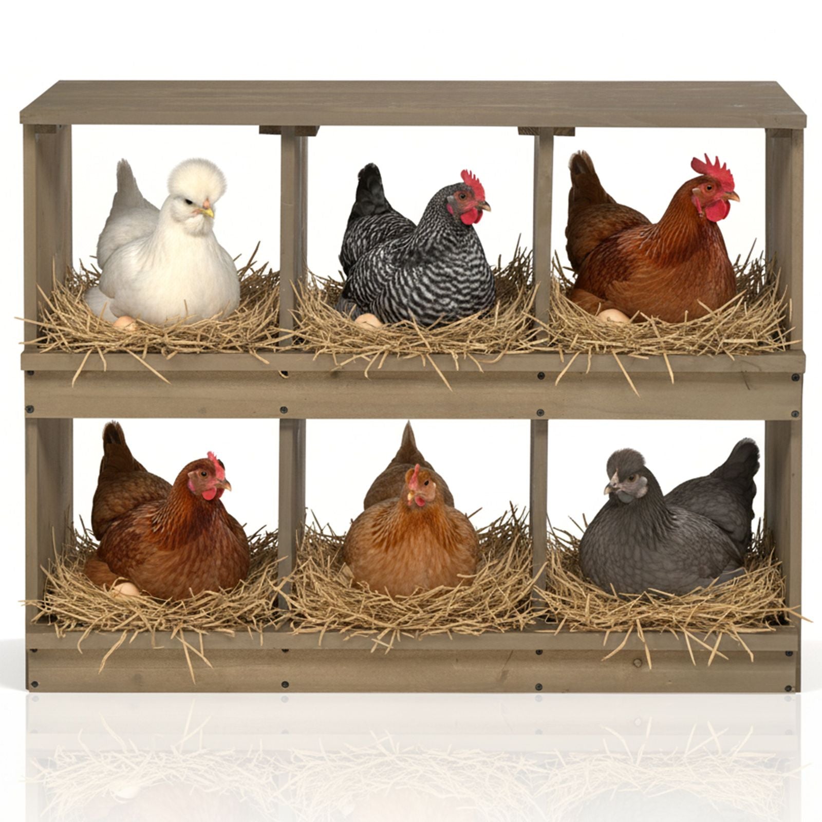 Nesting Boxes for Chickens, Wooden Chicken Nesting Box, Laying Eggs Nest Box for Chickens Hens Ducks, Gray, 6 Compartments