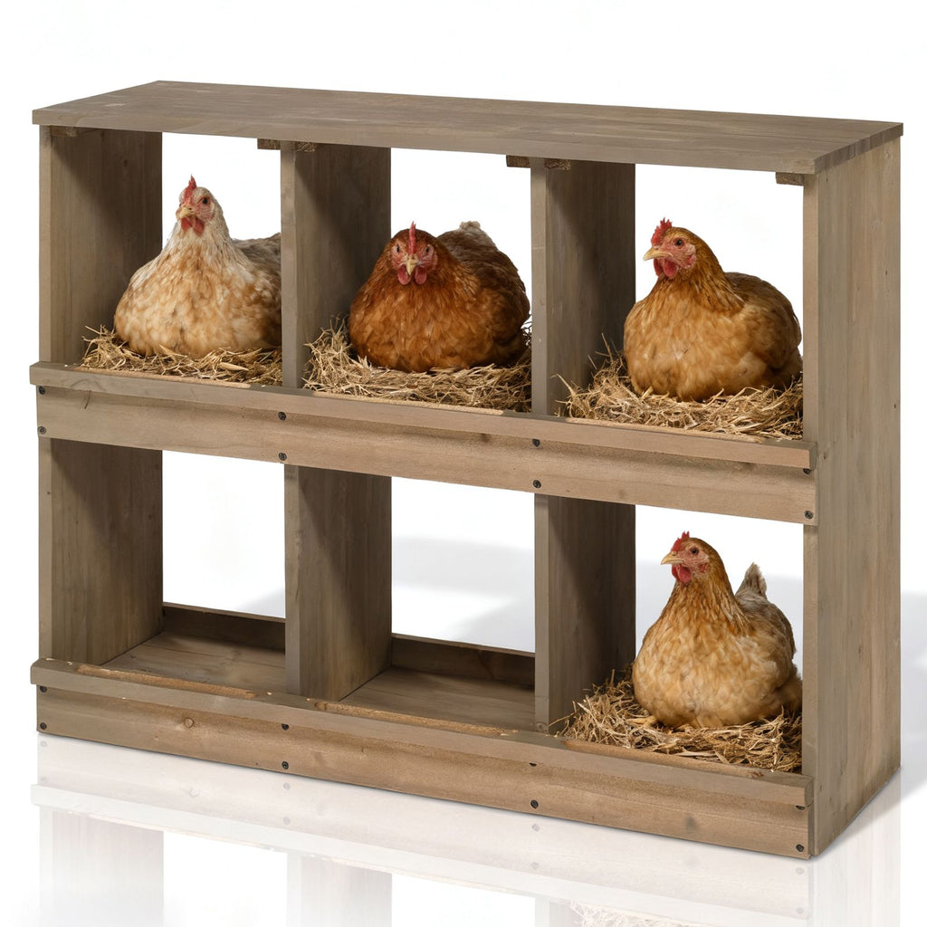 Nesting Boxes for Chickens, Wooden Chicken Nesting Box, Laying Eggs Nest Box for Chickens Hens Ducks, Gray, 6 Compartments