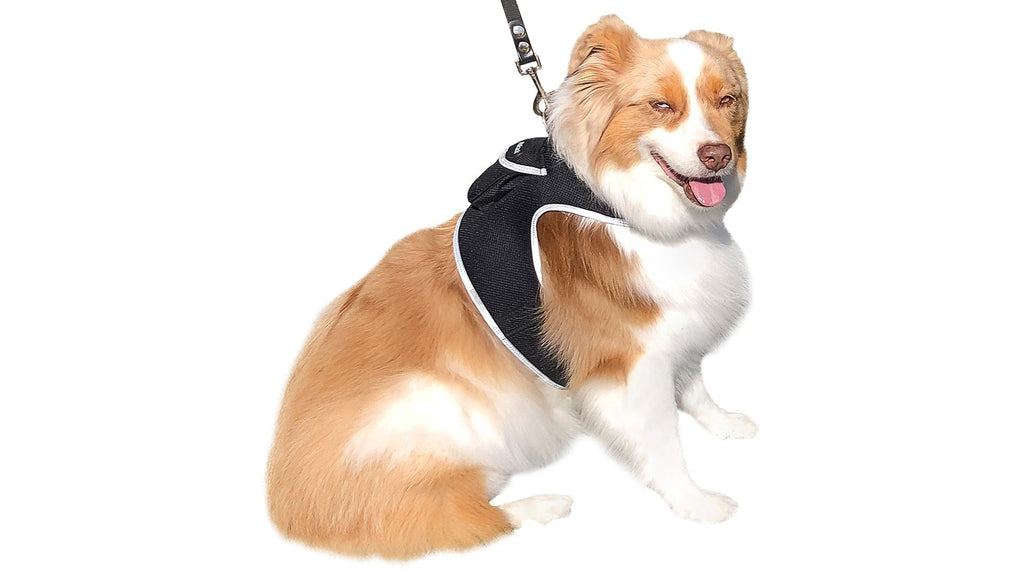 GPS Dog Tracker Harness with Mobile App Tracking