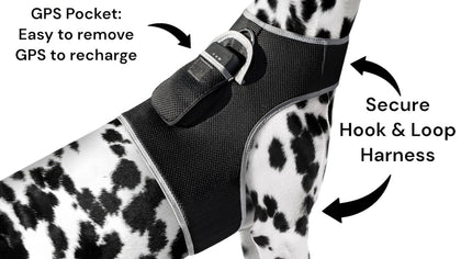 Track Your Pet from Anywhere – No Contracts, Just $8/Month
