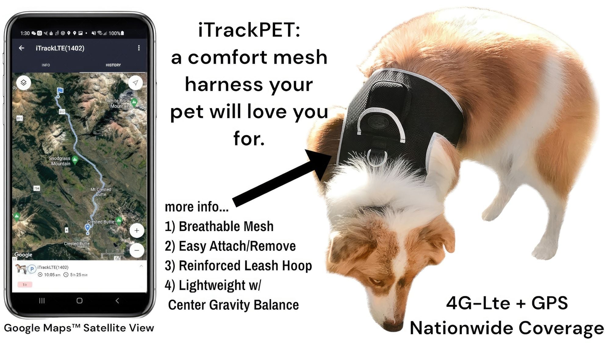 Track Your Pet Comfortably with the GPScards® Pet Tracker – Only $8/Month