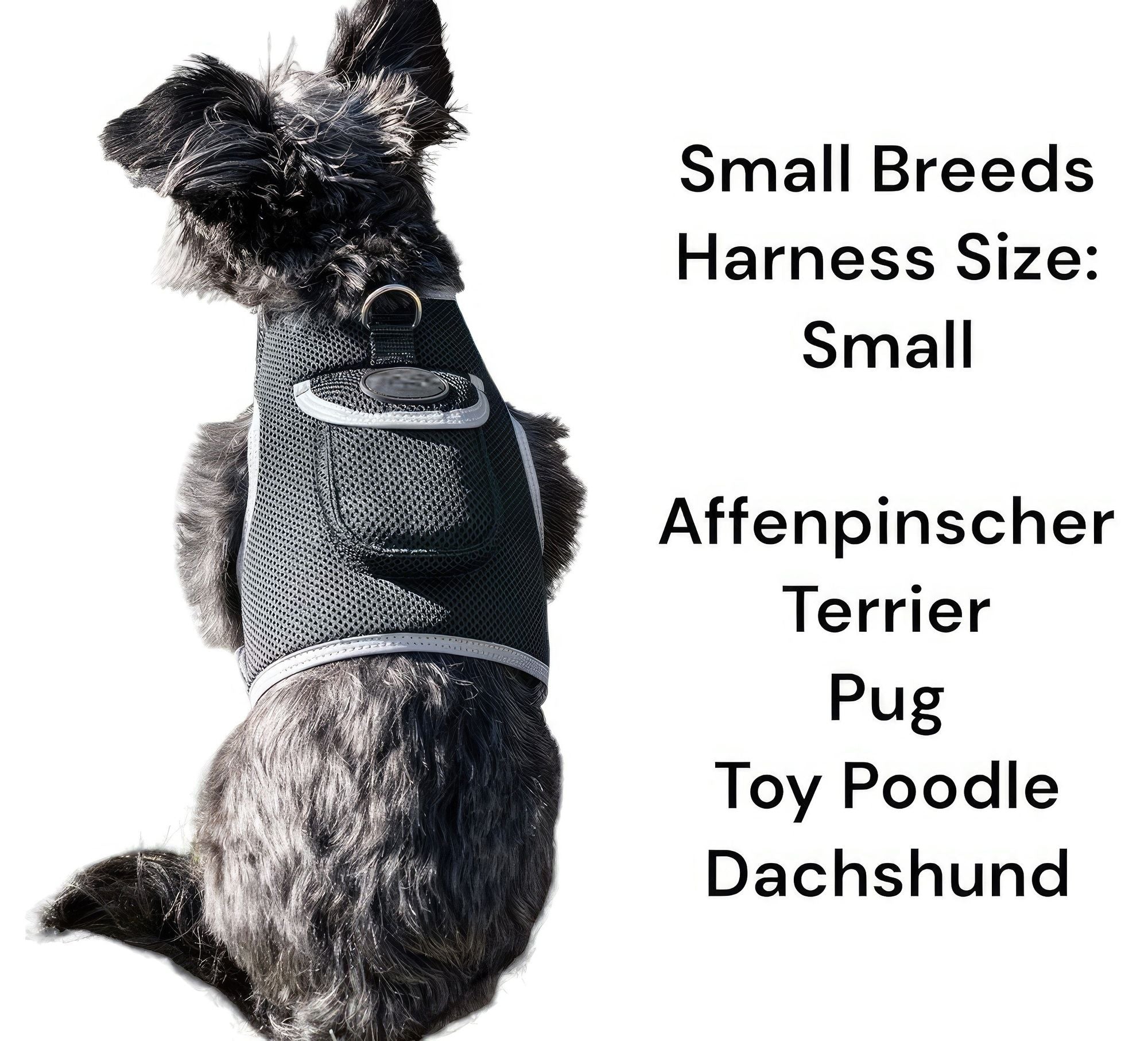 Never Lose Sight of Your Pet with the GPS Tracker Harness