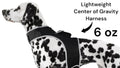Never Lose Sight of Your Pet with the GPS Tracker Harness
