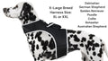Keep Tabs on Your Furry Friend with the Mini Pet Tracker GPS Collar – Track Anytime, Anywhere