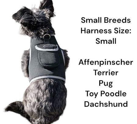 NEW Rechargeable GSM GPS Pet Finder Waterproof Collar Tracking Device Size:XS