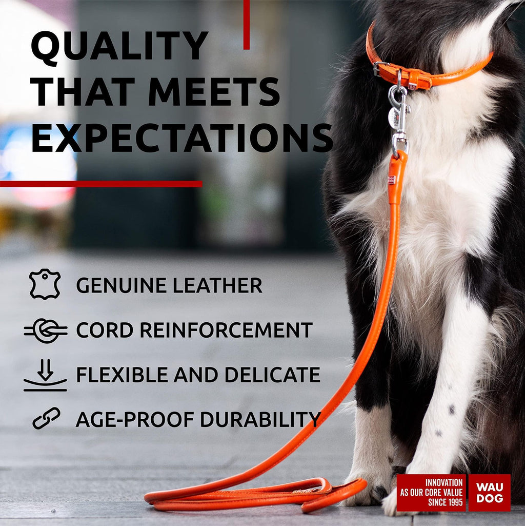 Refined Leather Dog Leash – Eye-Catching Colors, Comfortable Grip