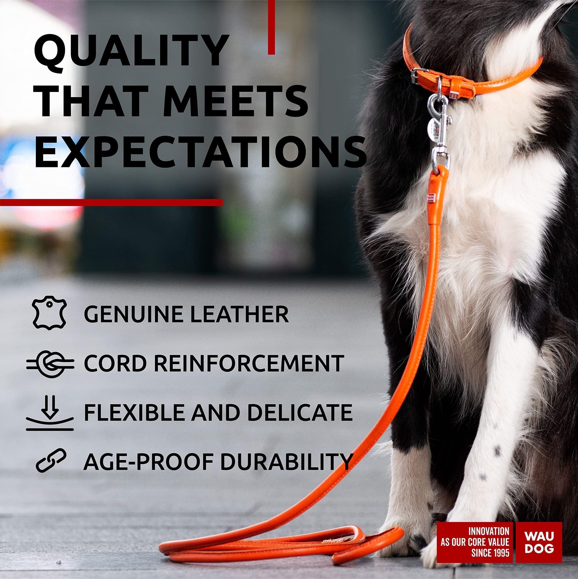 Refined Leather Dog Leash – Eye-Catching Colors, Comfortable Grip