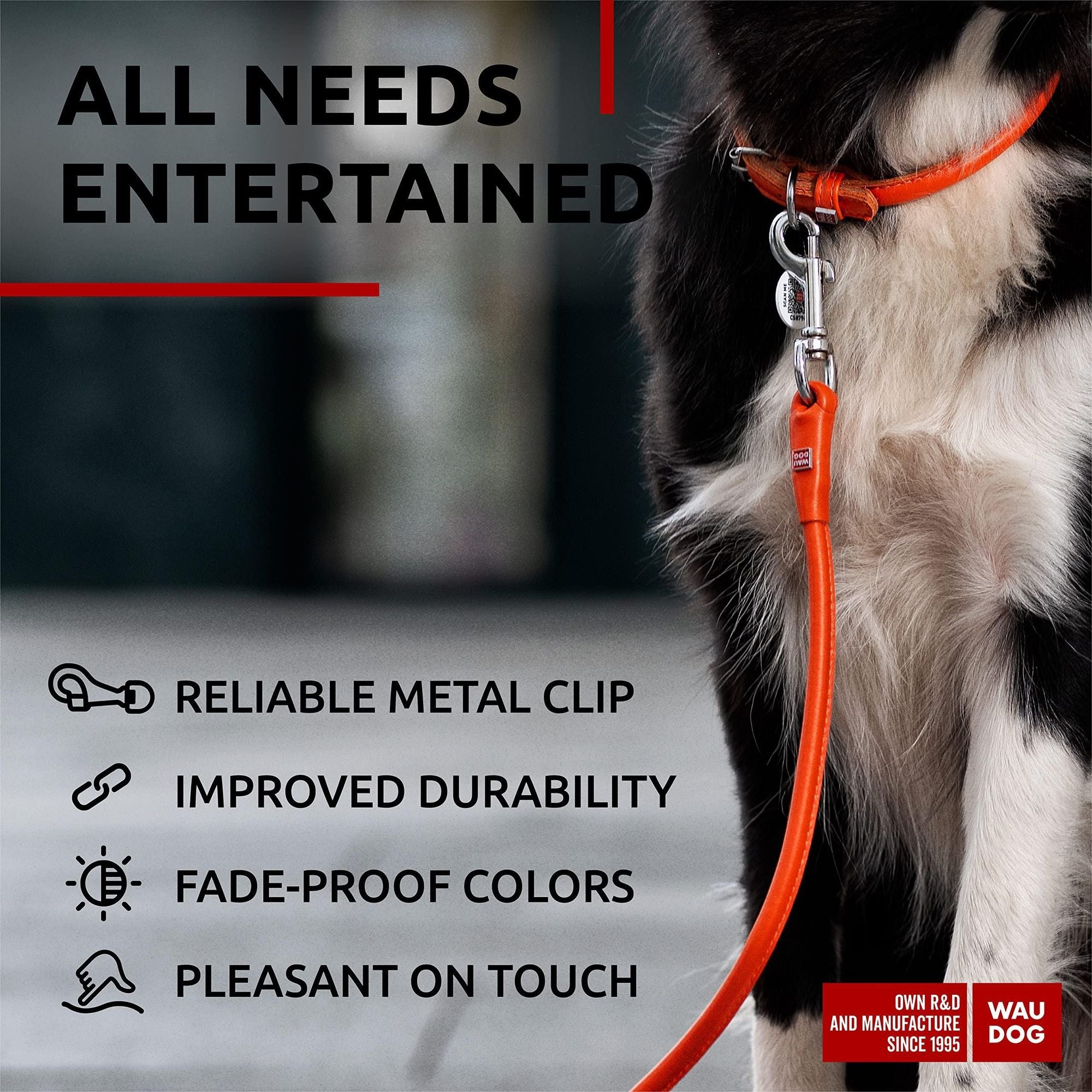 Refined Leather Dog Leash – Eye-Catching Colors, Comfortable Grip