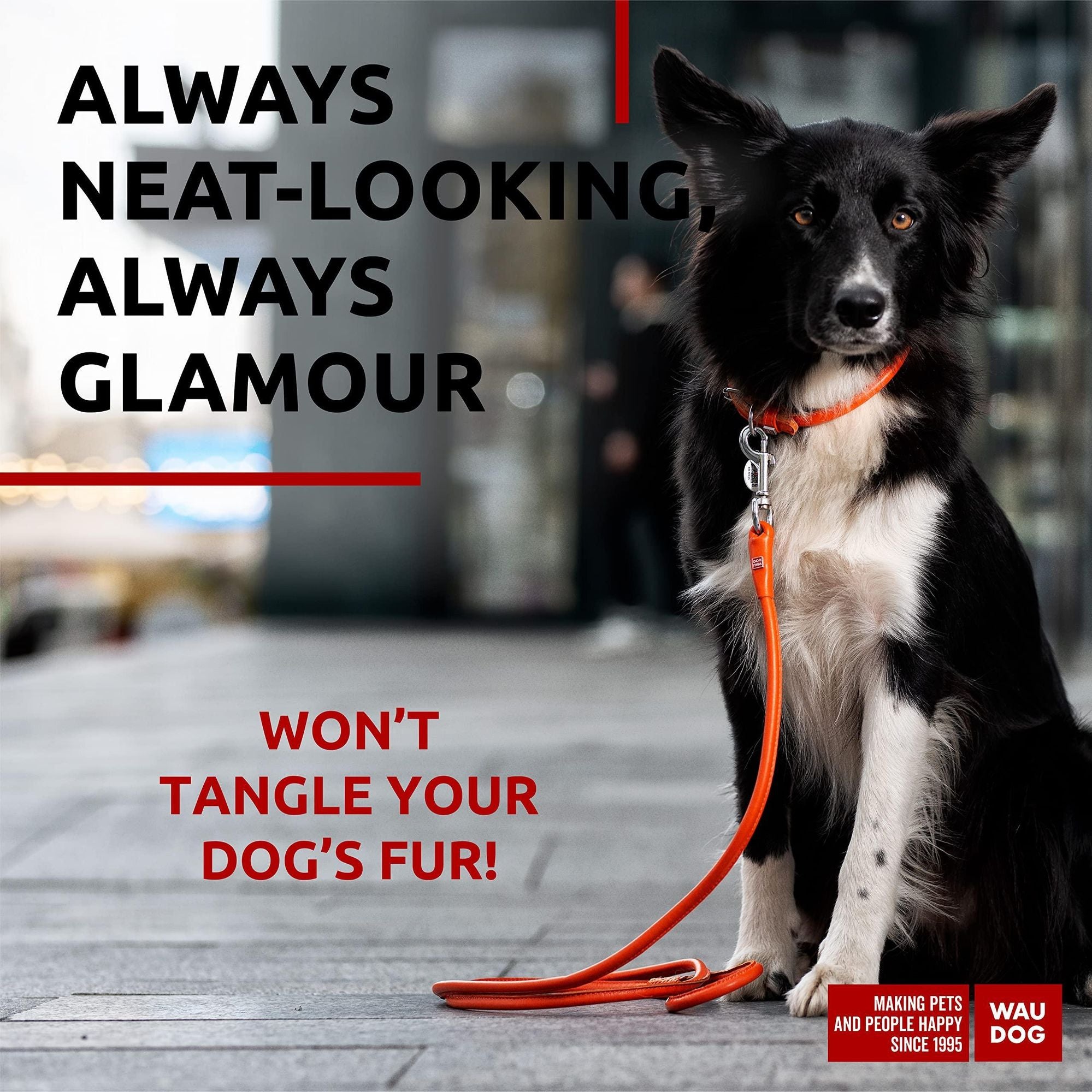 Refined Leather Dog Leash – Eye-Catching Colors, Comfortable Grip