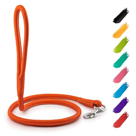 Refined Leather Dog Leash – Eye-Catching Colors, Comfortable Grip