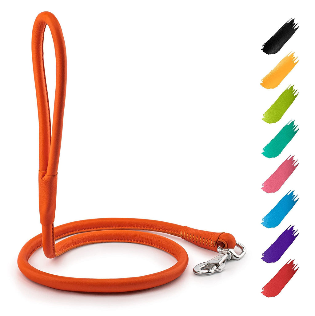 Refined Leather Dog Leash – Eye-Catching Colors, Comfortable Grip
