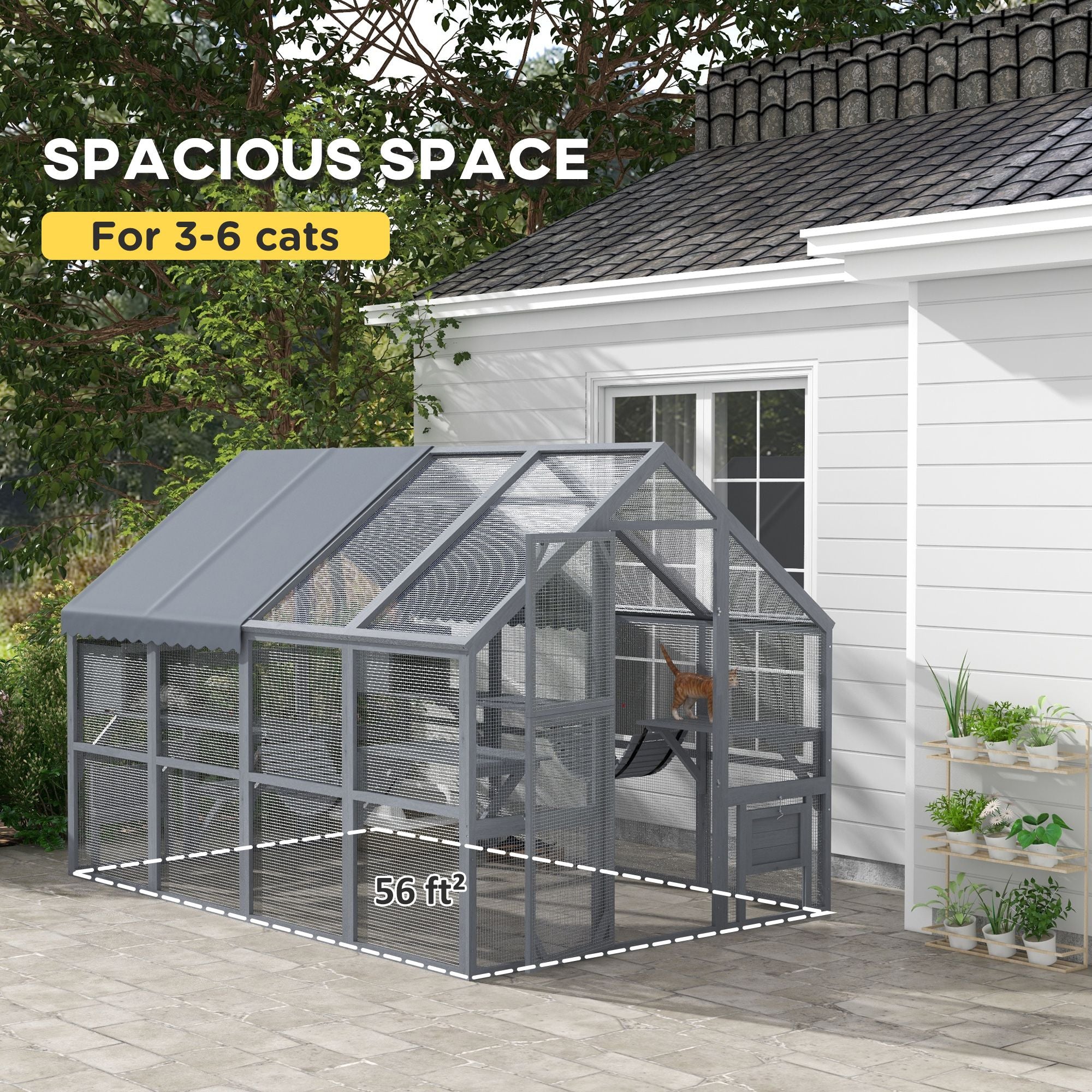 Spacious Outdoor Cat Patio for 3-6 Cats with Condos and Platforms