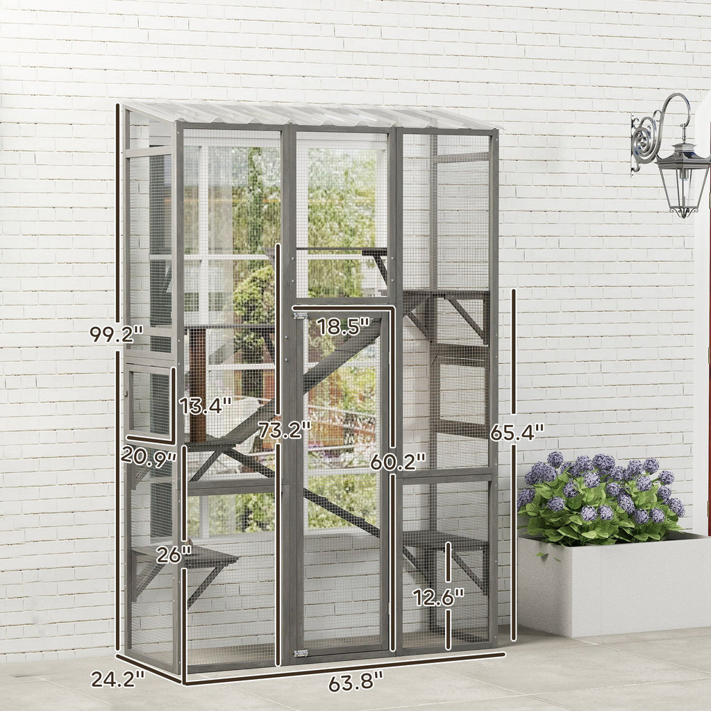 Expand Your Cat's World with a Spacious Outdoor Catio