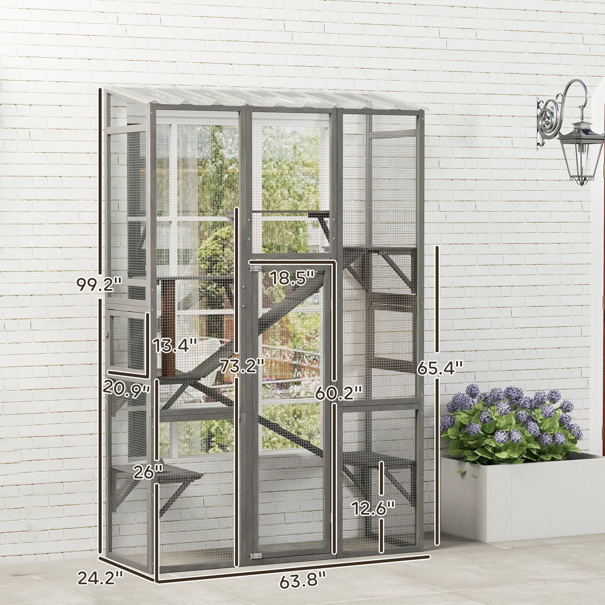 Expand Your Cat's World with a Spacious Outdoor Catio