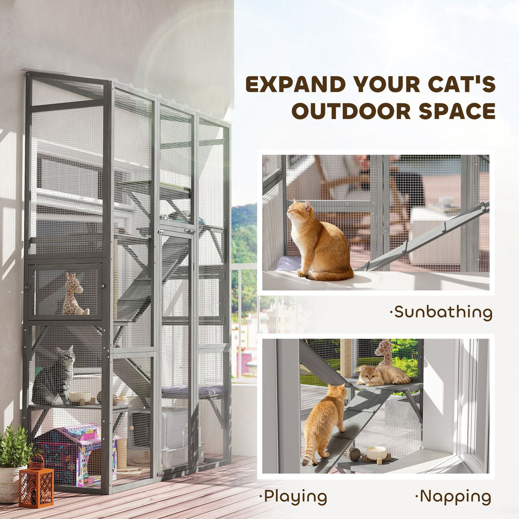 Expand Your Cat's World with a Spacious Outdoor Catio