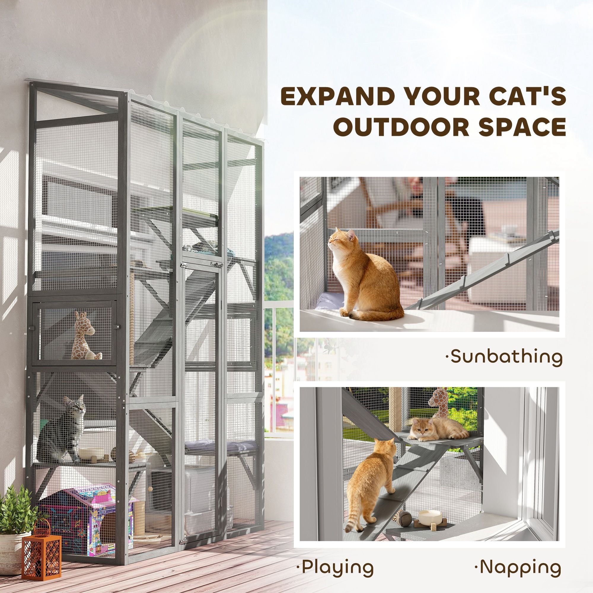 Expand Your Cat's World with a Spacious Outdoor Catio