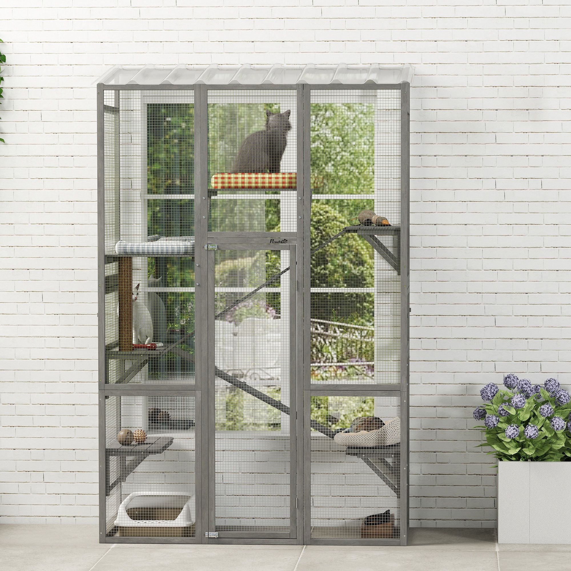 Expand Your Cat's World with a Spacious Outdoor Catio