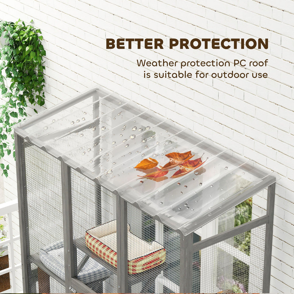 Expand Your Cat's World with a Spacious Outdoor Catio
