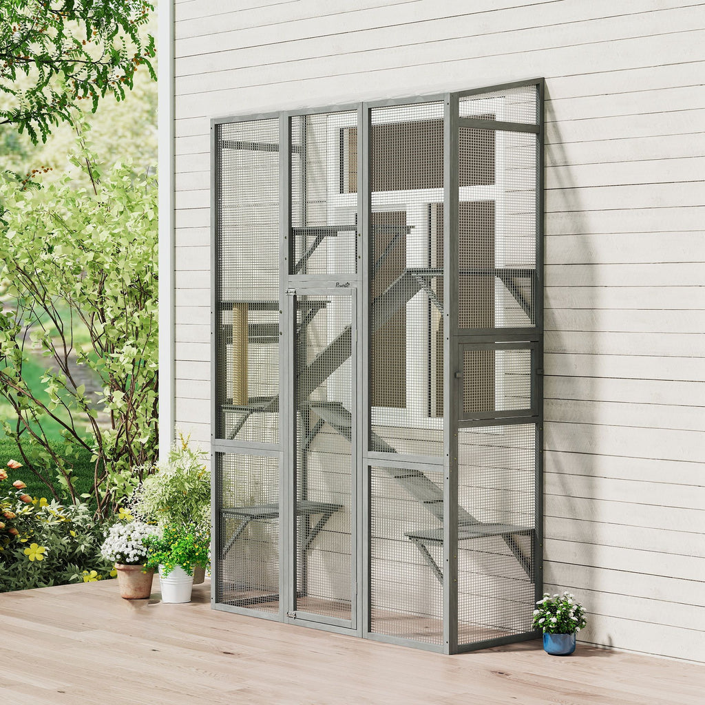 Expand Your Cat's World with a Spacious Outdoor Catio