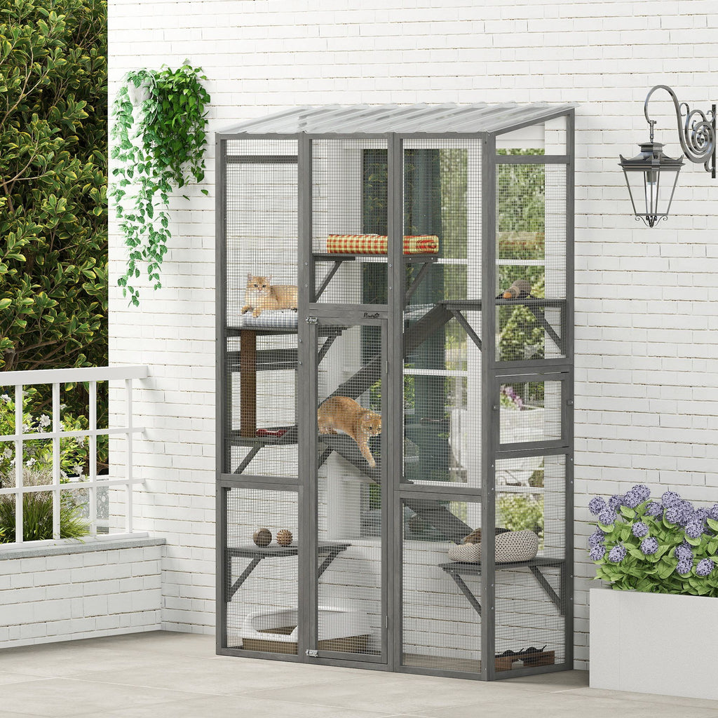 Expand Your Cat's World with a Spacious Outdoor Catio