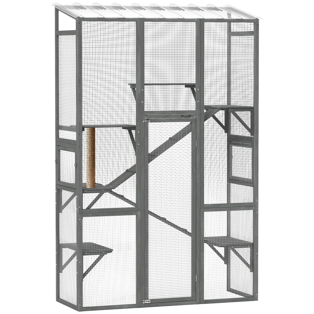 Expand Your Cat's World with a Spacious Outdoor Catio
