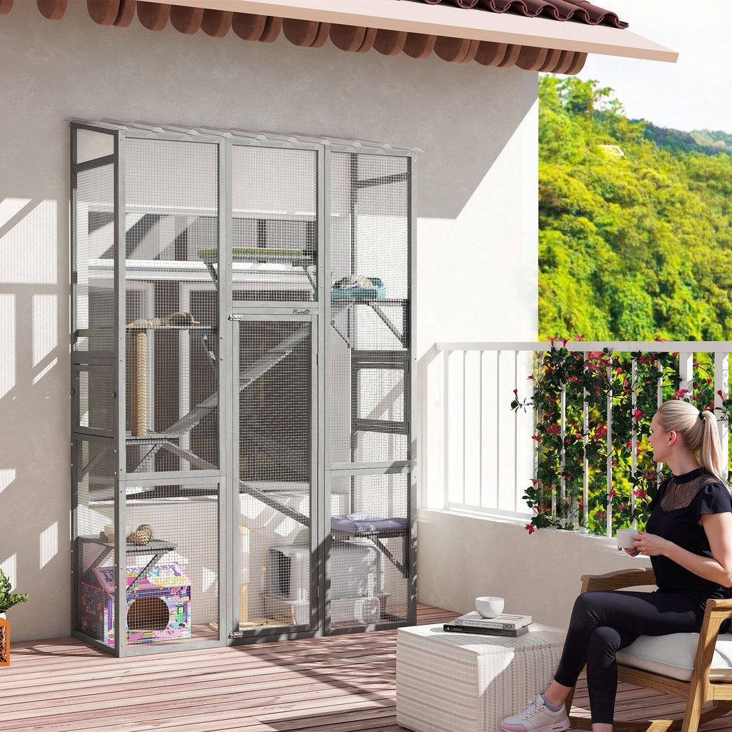 Expand Your Cat's World with a Spacious Outdoor Catio