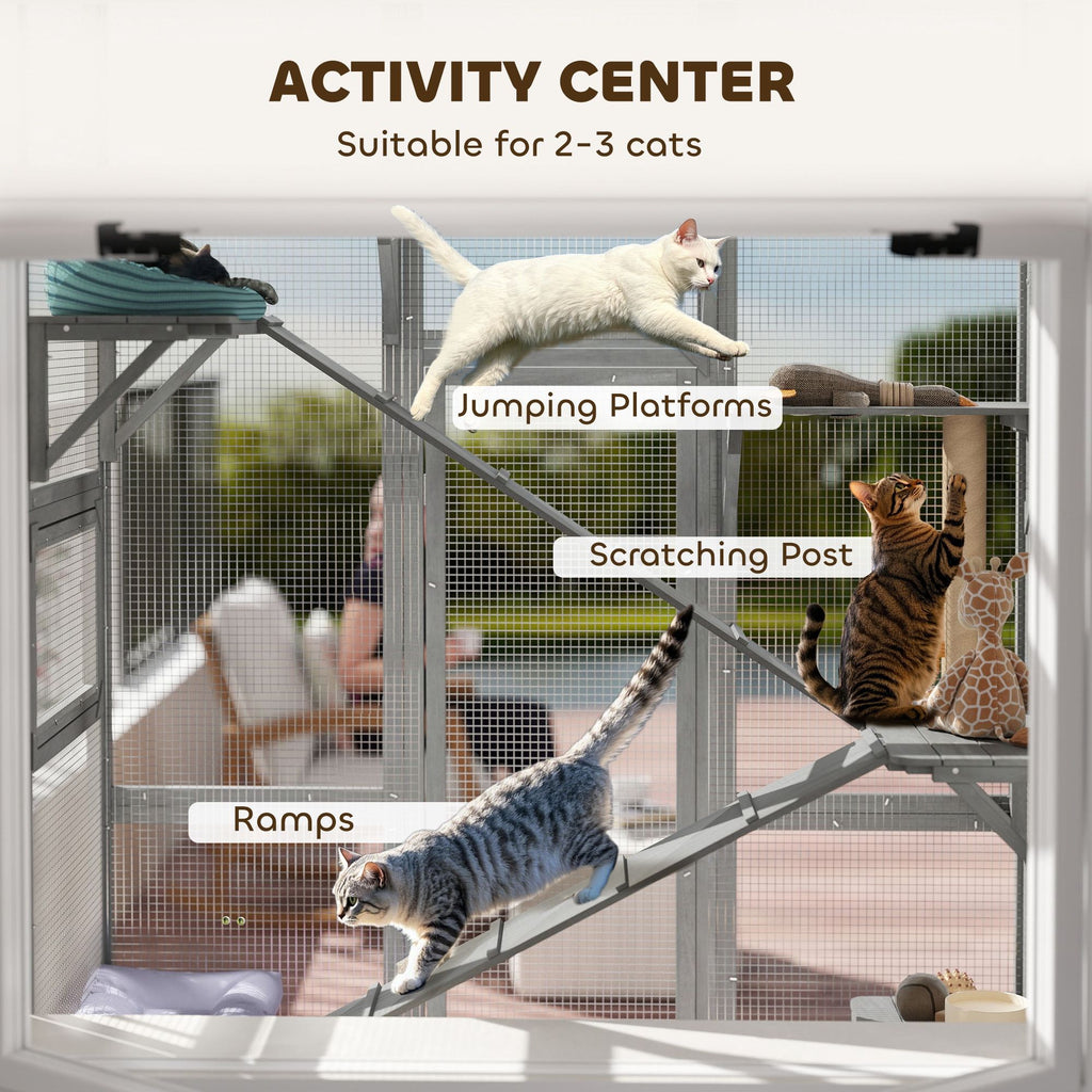 Expand Your Cat's World with a Spacious Outdoor Catio