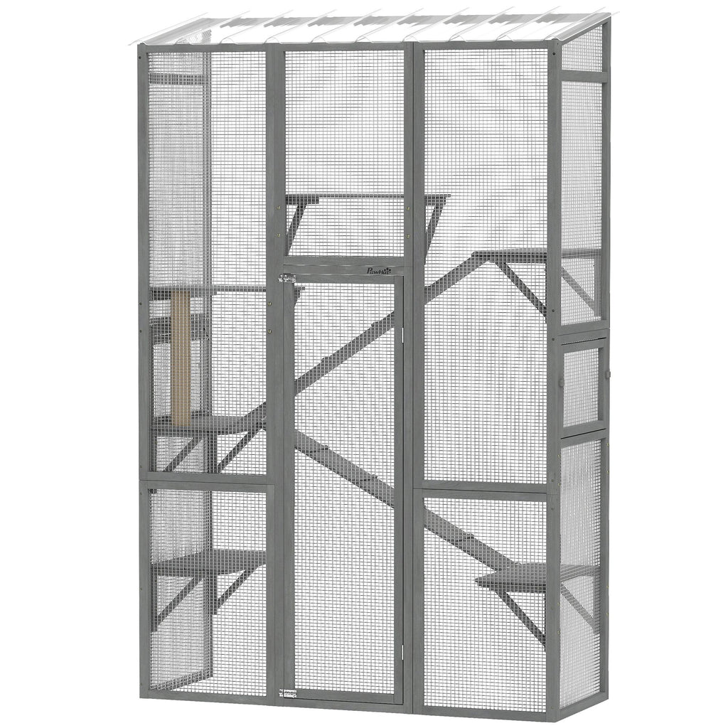 Expand Your Cat's World with a Spacious Outdoor Catio