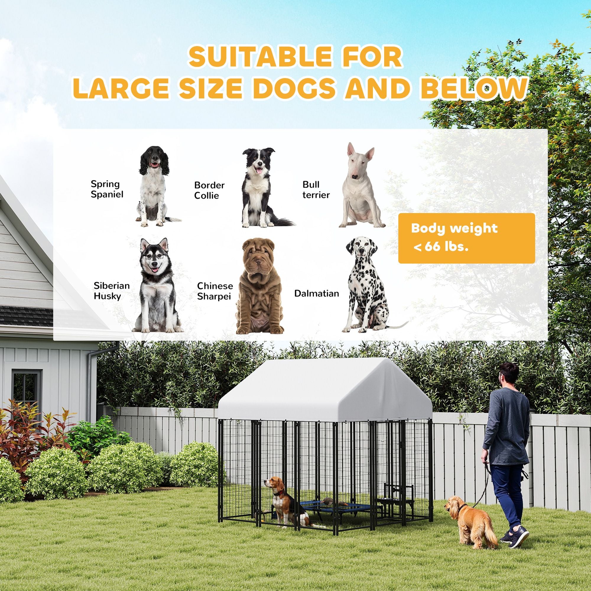 Spacious Outdoor Dog Kennel with Roof for All-Weather Play