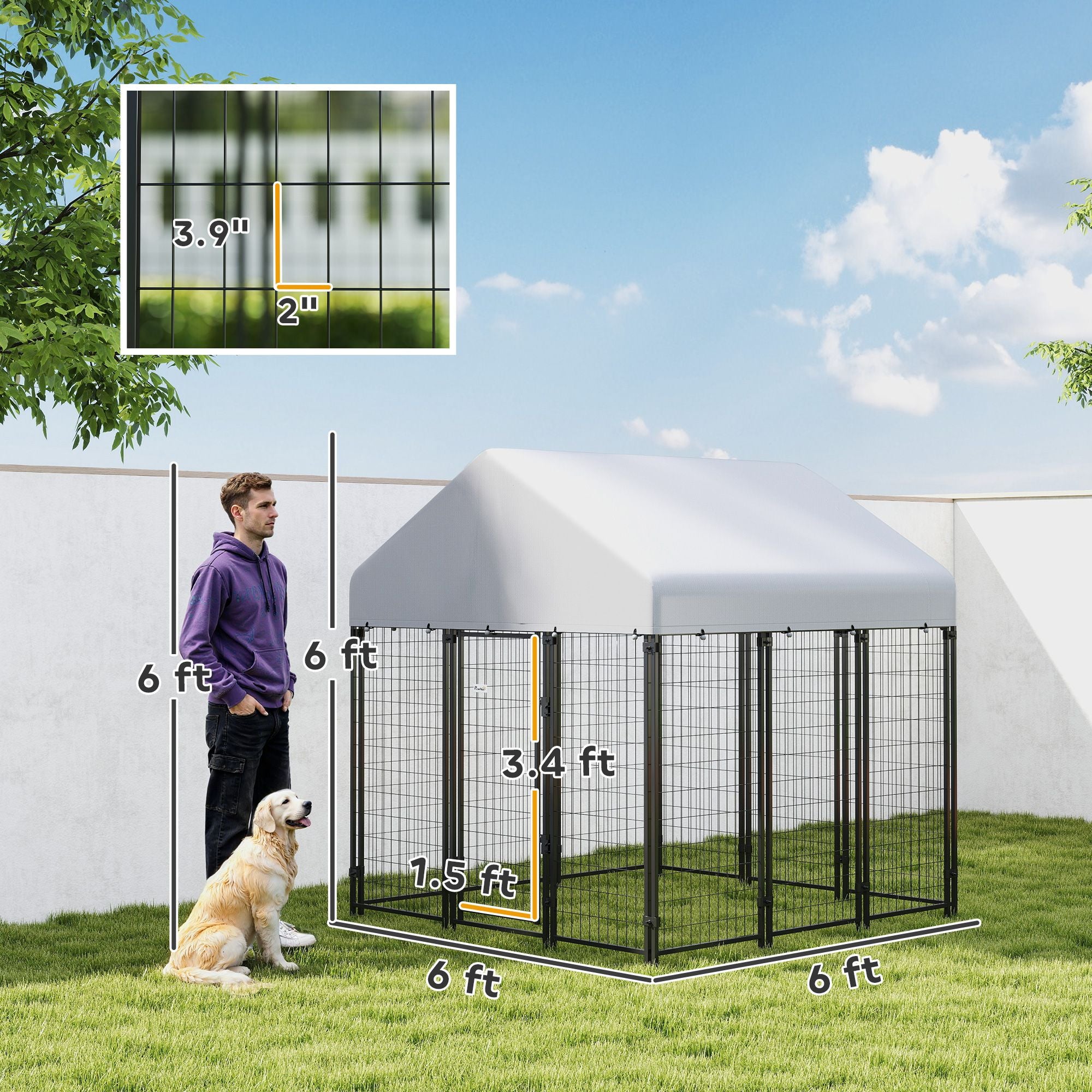 Spacious Outdoor Dog Kennel with Roof for All-Weather Play