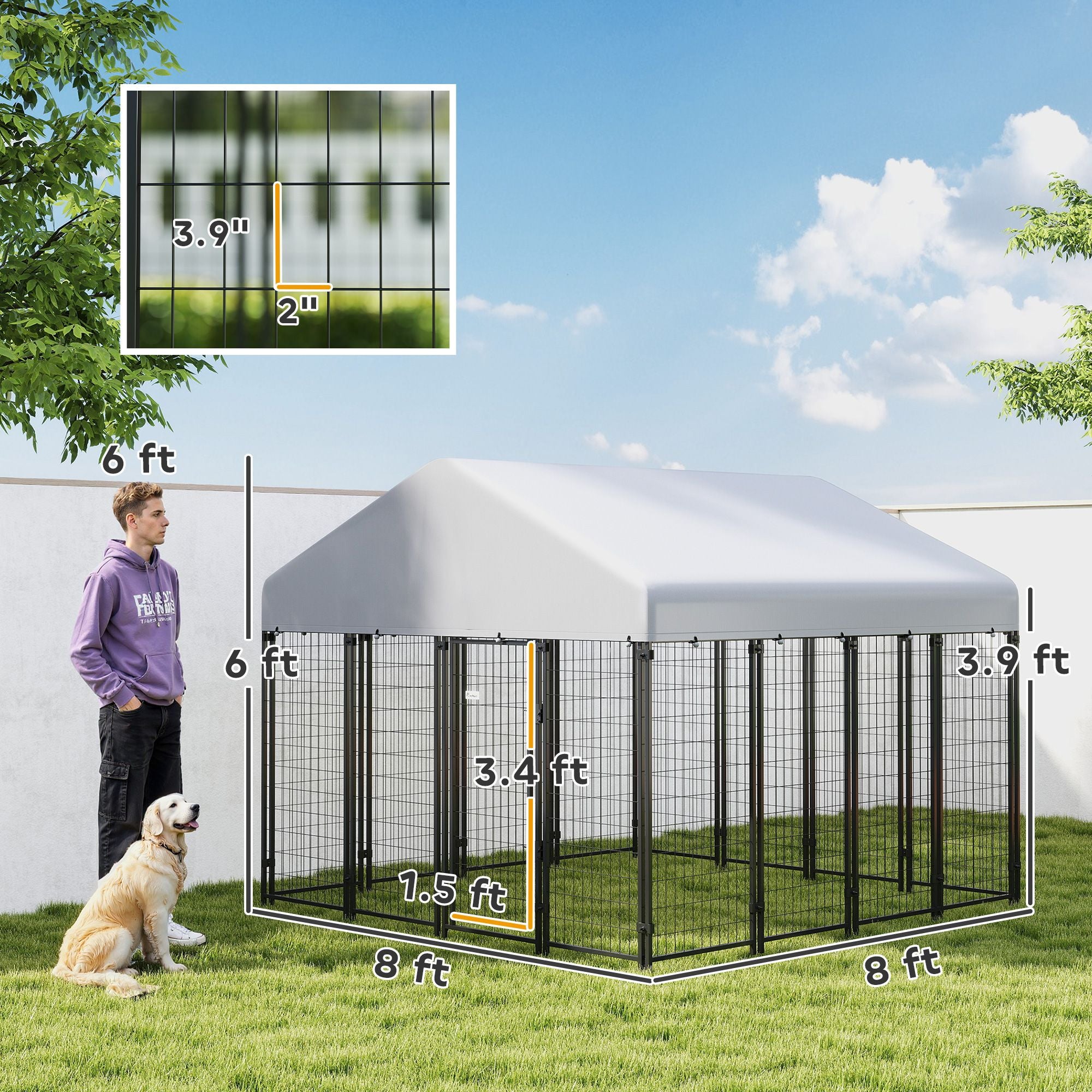 Spacious Outdoor Dog Kennel with Roof & Escape-Proof Lock