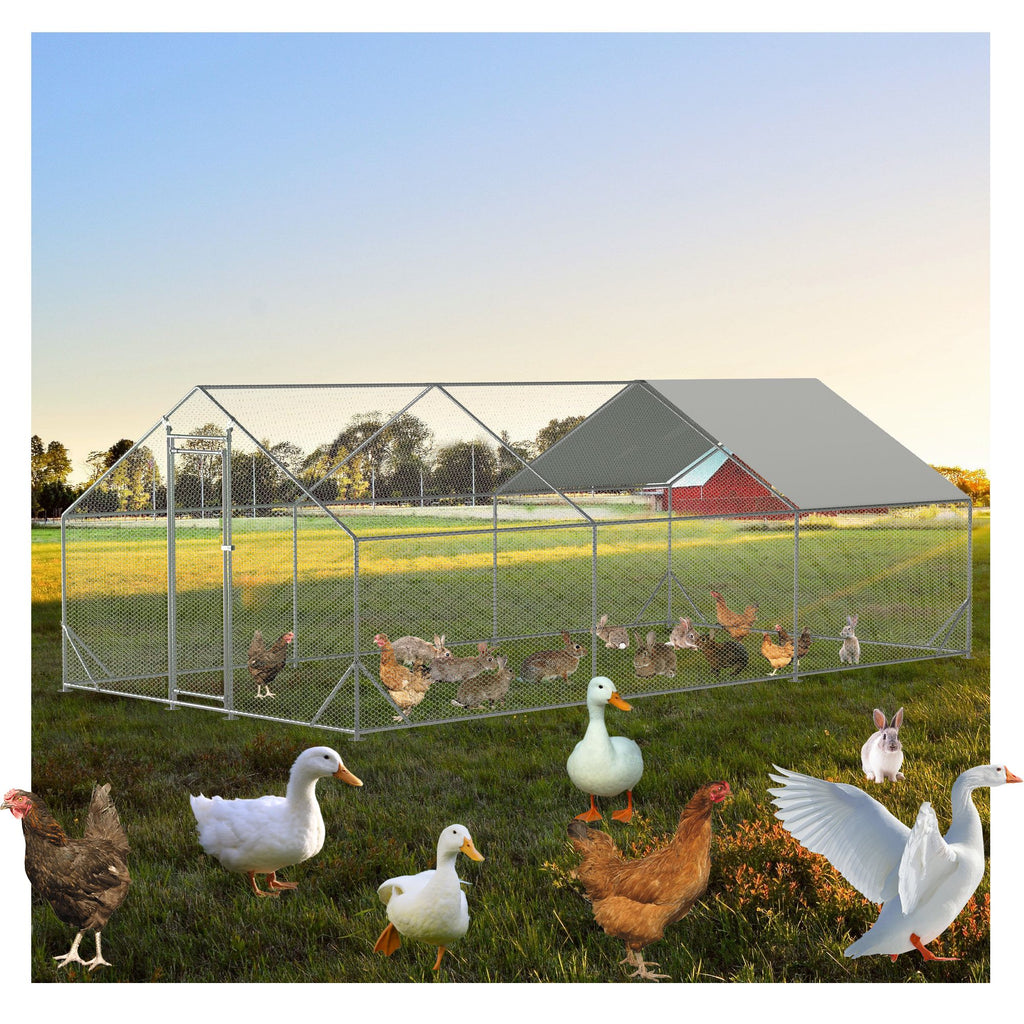 Give Your Flock a Spacious, Secure Outdoor Haven