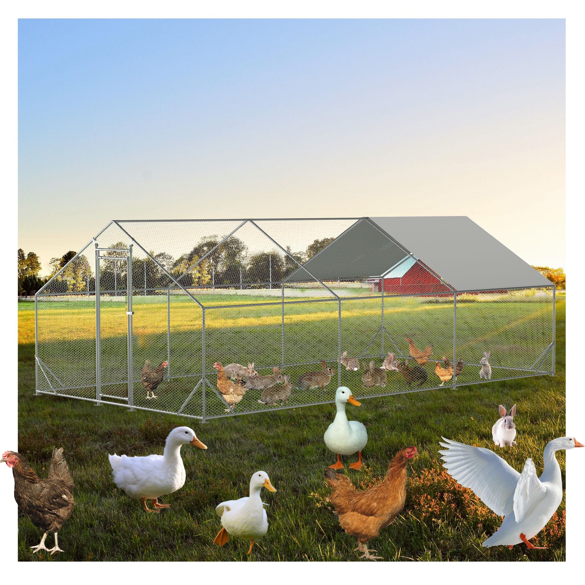 Give Your Flock a Spacious, Secure Outdoor Haven