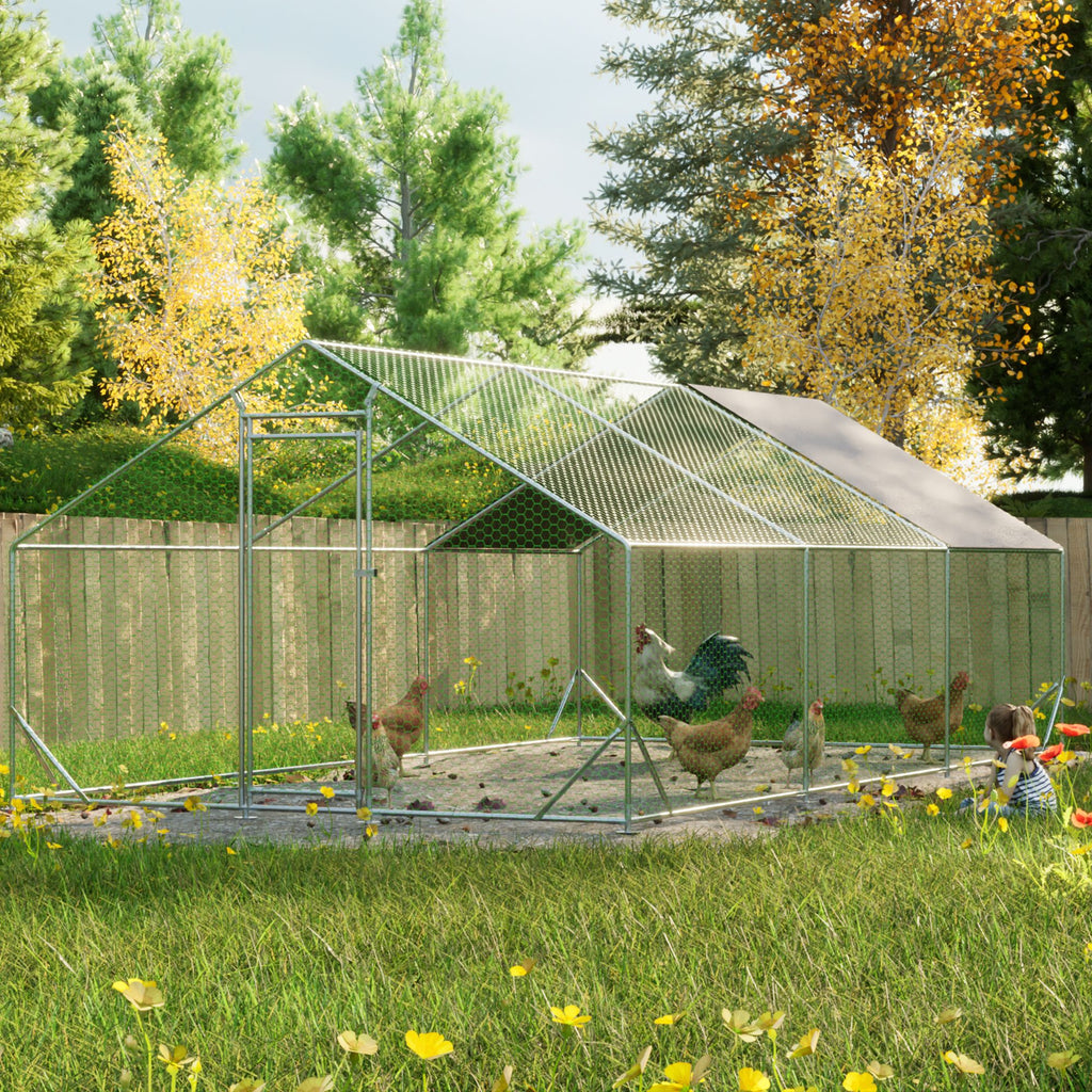 Give Your Flock a Spacious, Secure Outdoor Haven