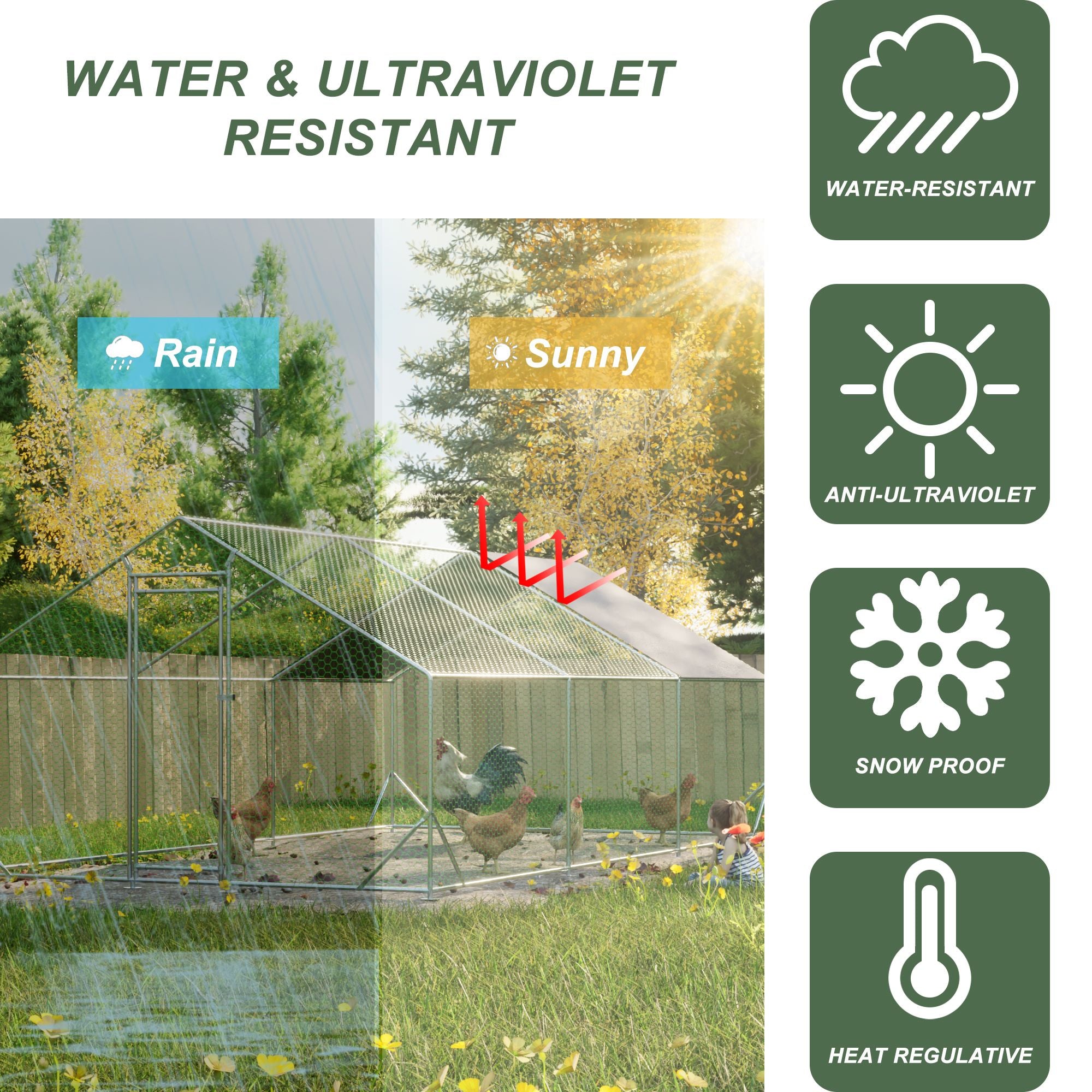 Give Your Flock a Spacious, Secure Outdoor Haven
