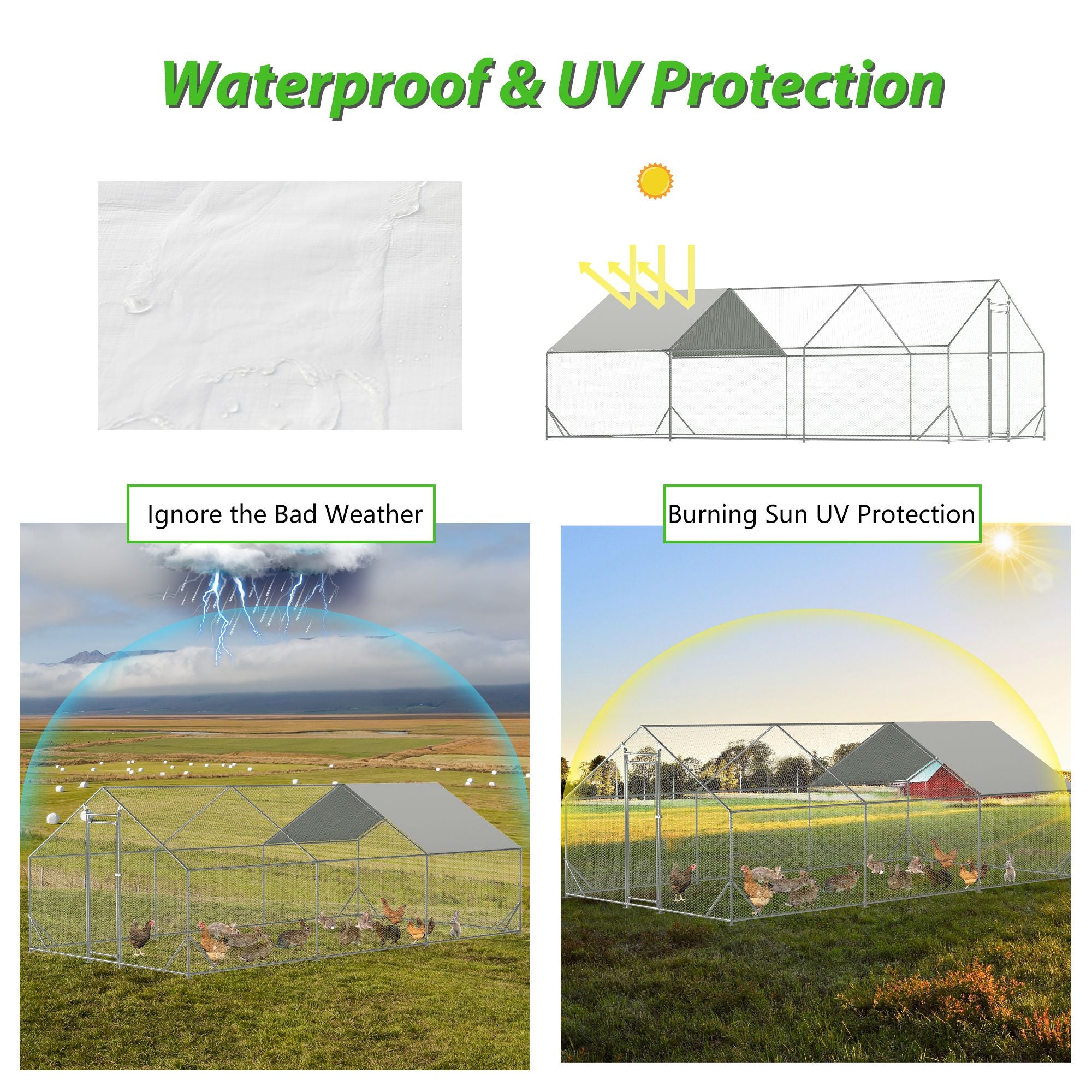 Give Your Flock a Spacious, Secure Outdoor Haven