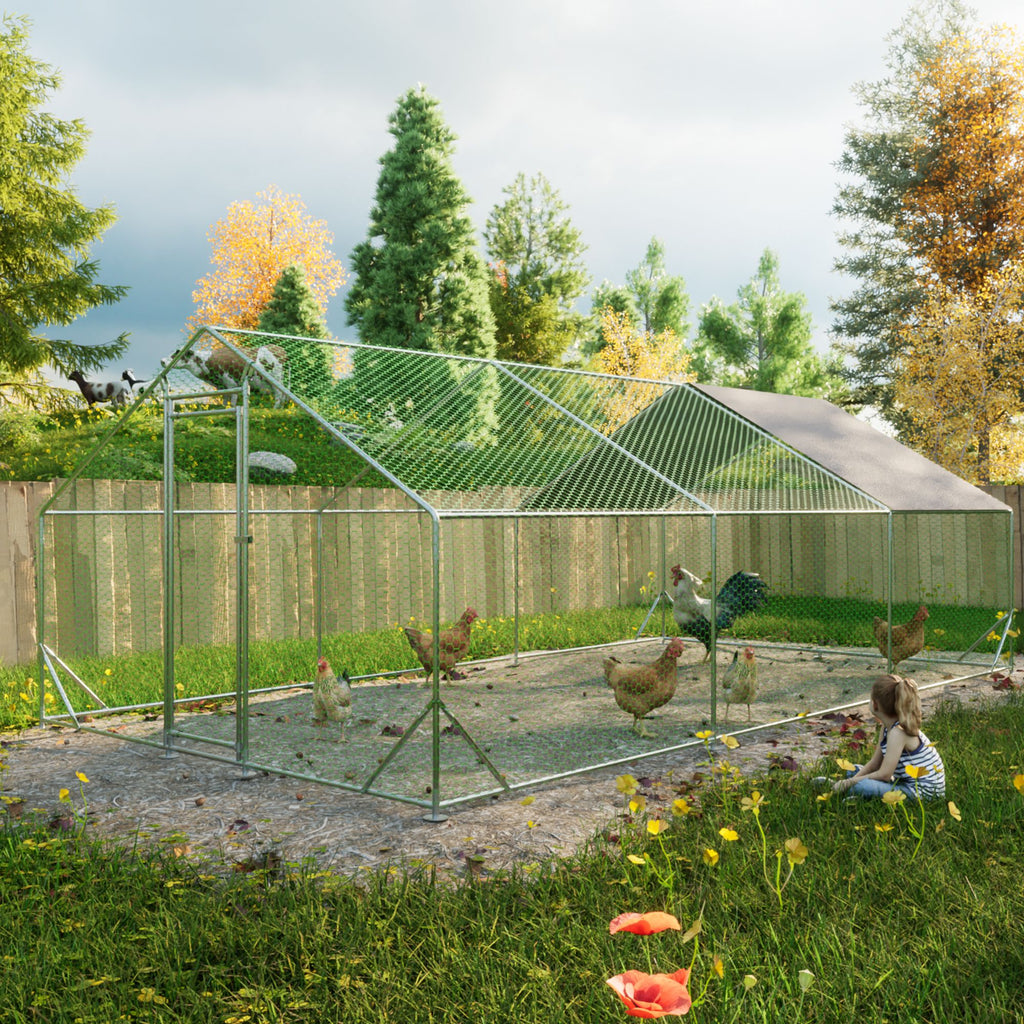 Give Your Flock a Spacious, Secure Outdoor Haven