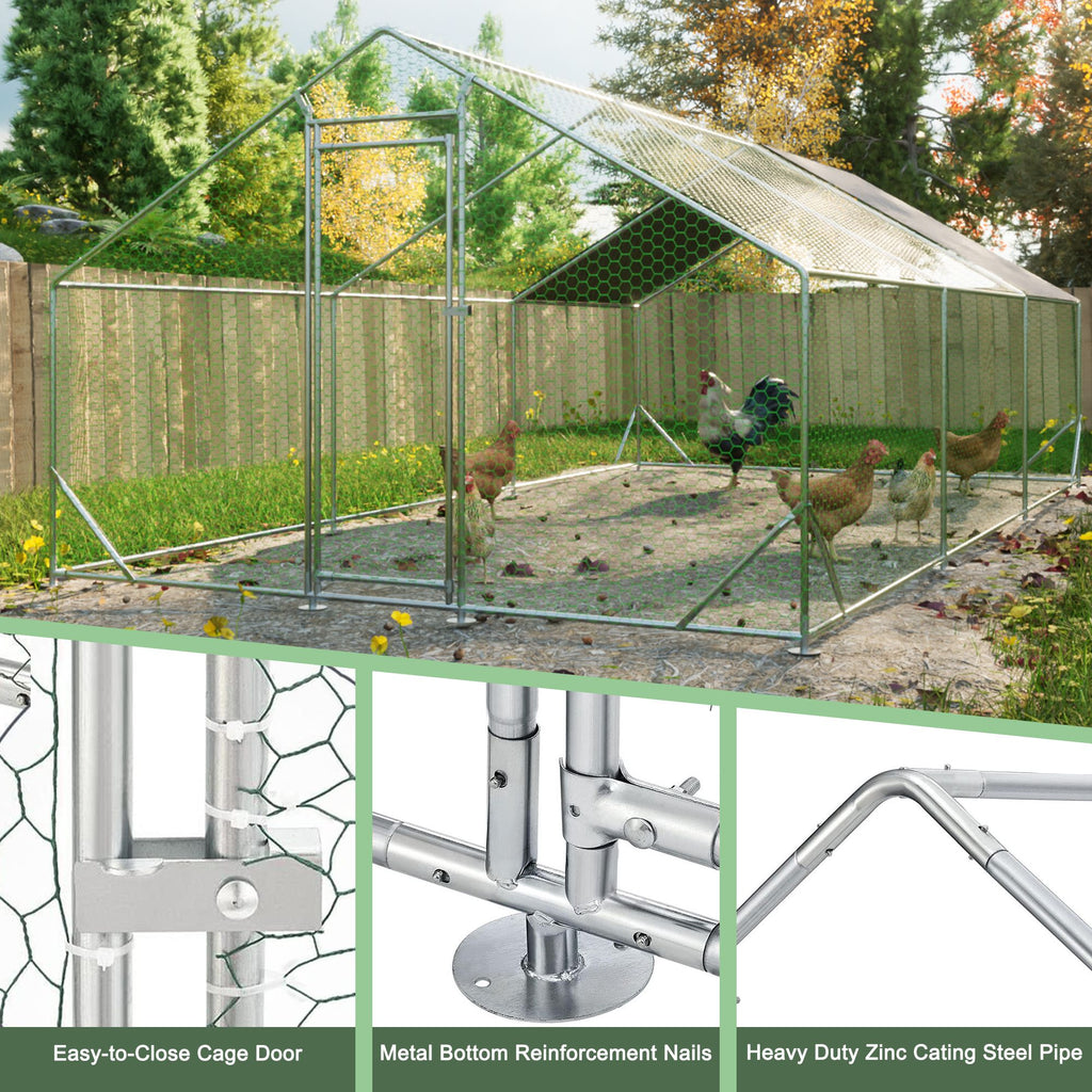 Give Your Flock a Spacious, Secure Outdoor Haven
