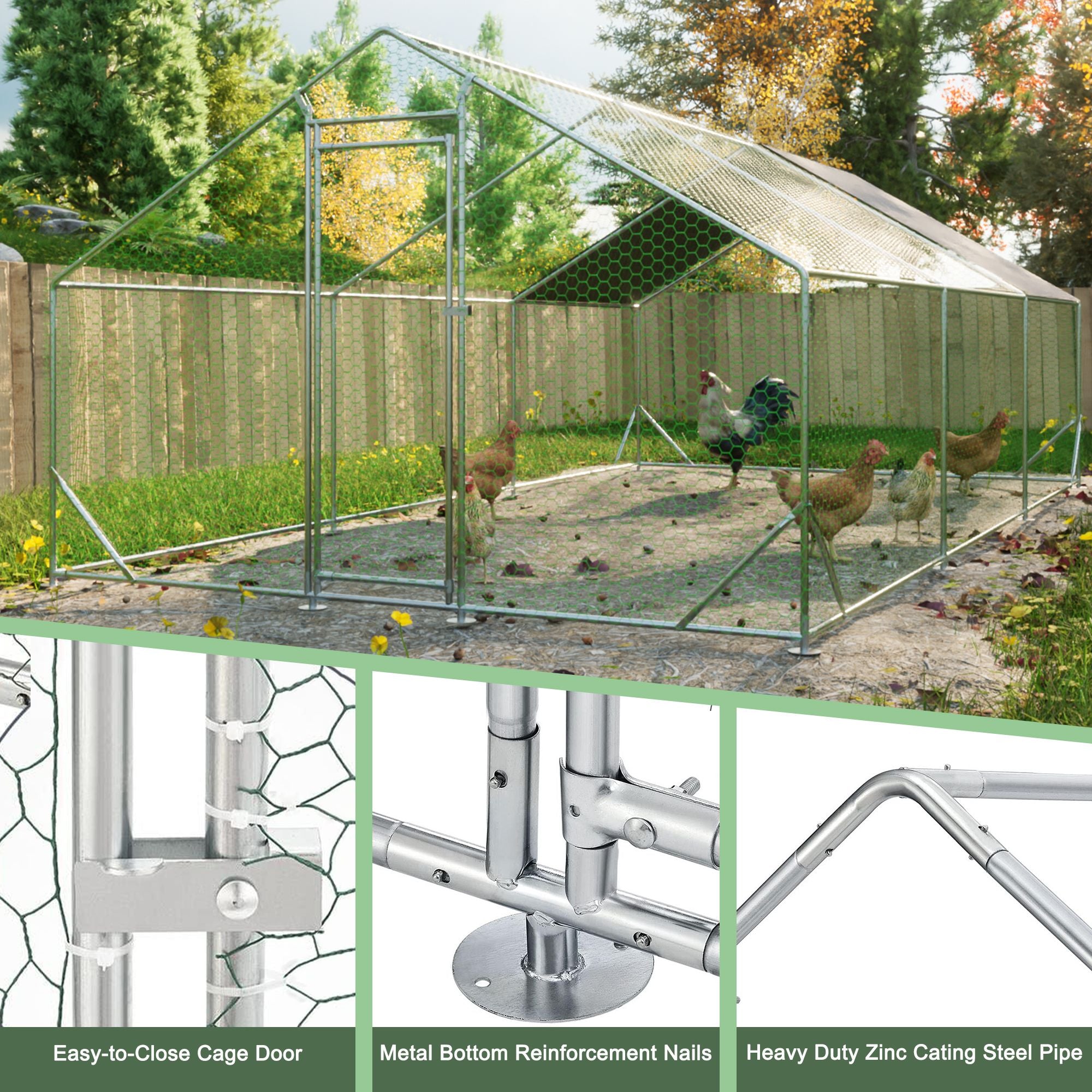 Give Your Flock a Spacious, Secure Outdoor Haven