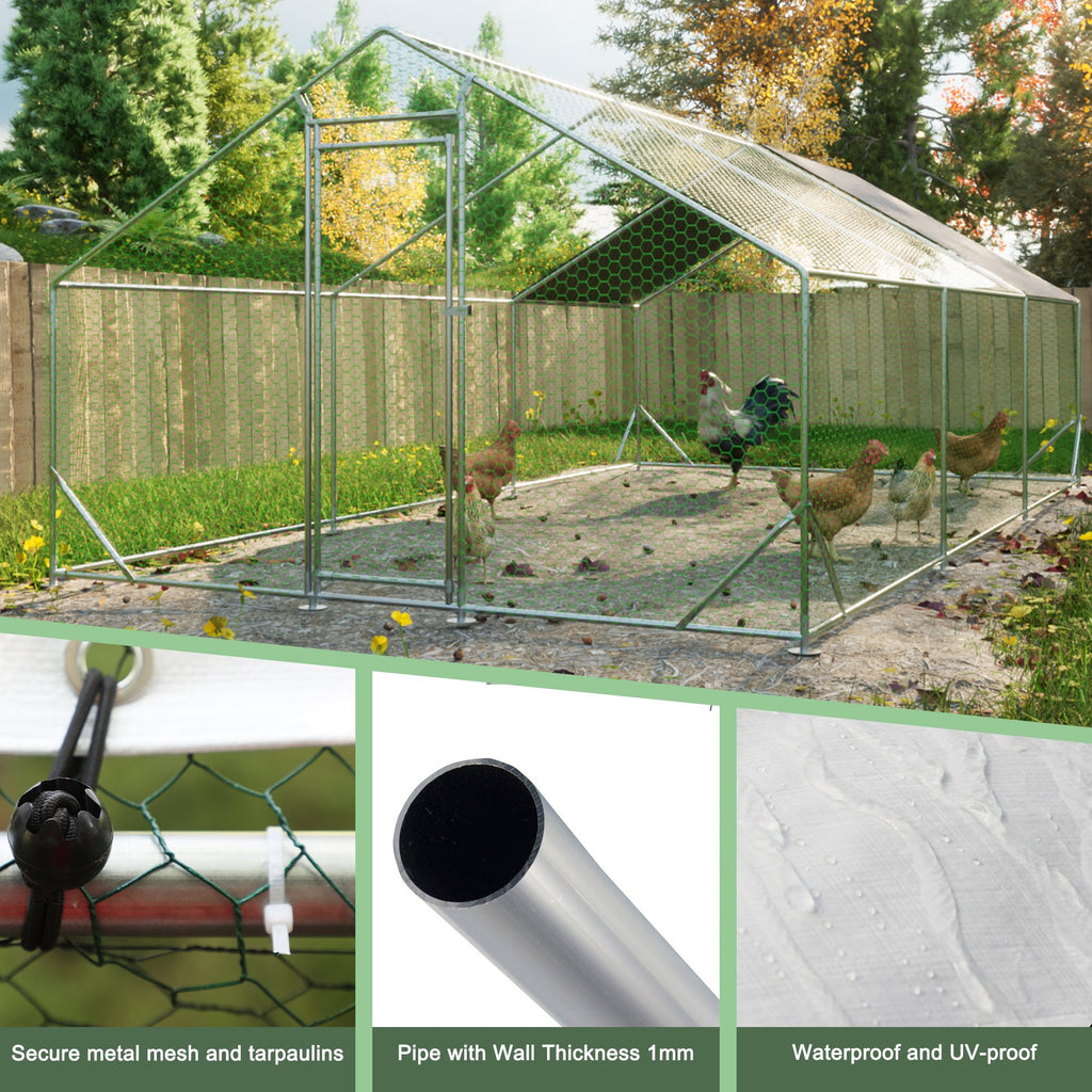 Give Your Flock a Spacious, Secure Outdoor Haven