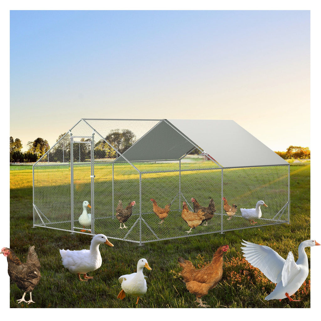 Give Your Flock a Spacious, Secure Outdoor Haven