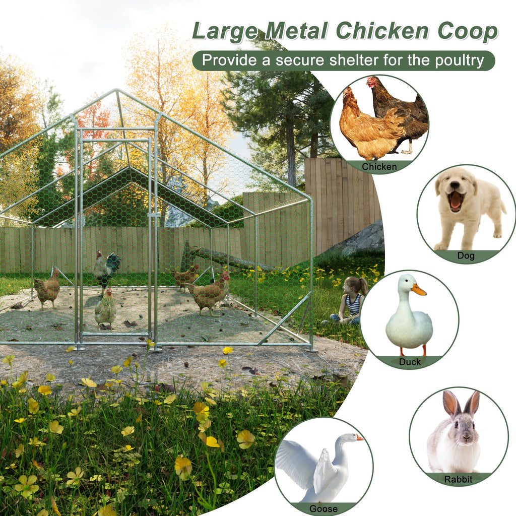 Give Your Flock a Spacious, Secure Outdoor Haven